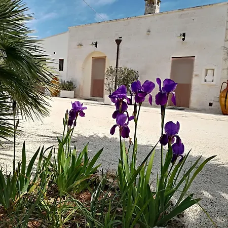 Demetra Bed & Breakfast Carovigno