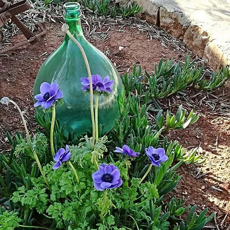 Bed & Breakfast Demetra Carovigno