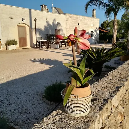 Demetra Bed & Breakfast