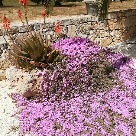 Demetra Bed & Breakfast 4*